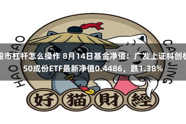 股市杠杆怎么操作 8月14日基金净值：广发上证科创板50成份ETF最新净值0.4486，跌1.38%