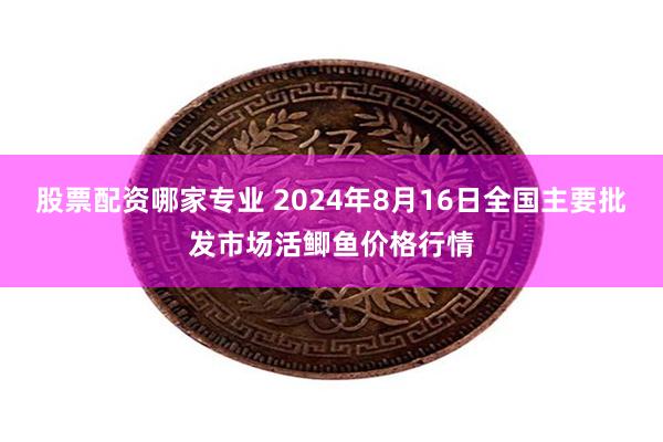 股票配资哪家专业 2024年8月16日全国主要批发市场活鲫鱼价格行情