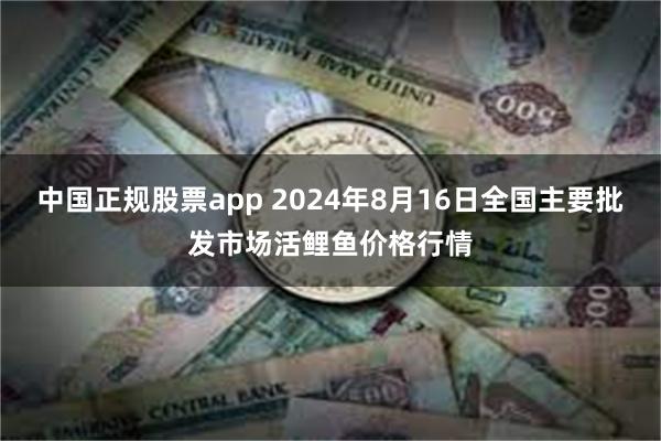 中国正规股票app 2024年8月16日全国主要批发市场活鲤鱼价格行情