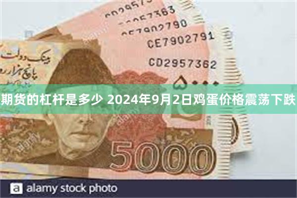 期货的杠杆是多少 2024年9月2日鸡蛋价格震荡下跌