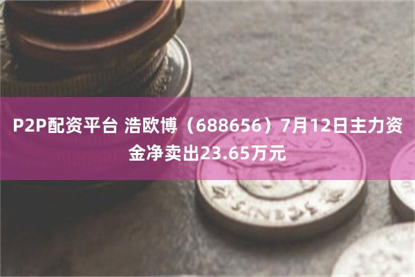 P2P配资平台 浩欧博（688656）7月12日主力资金净卖出23.65万元