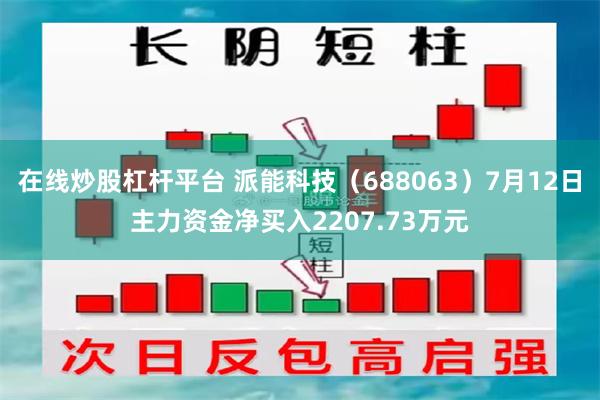 在线炒股杠杆平台 派能科技（688063）7月12日主力资金净买入2207.73万元