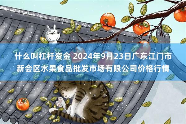 什么叫杠杆资金 2024年9月23日广东江门市新会区水果食品批发市场有限公司价格行情