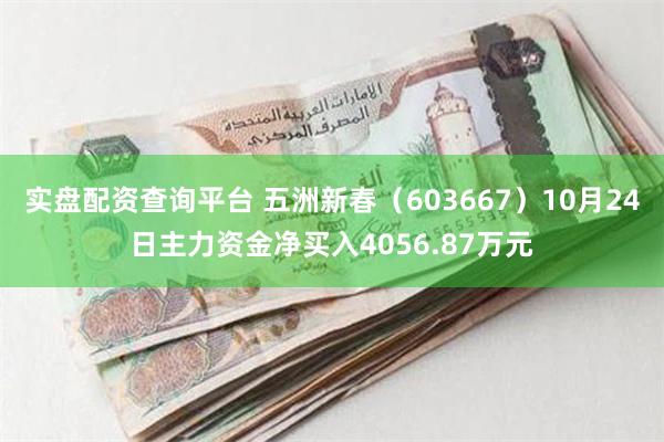 实盘配资查询平台 五洲新春（603667）10月24日主力资金净买入4056.87万元