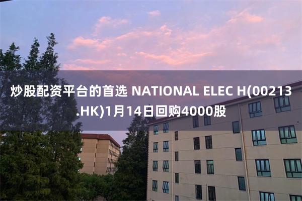 炒股配资平台的首选 NATIONAL ELEC H(00213.HK)1月14日回购4000股